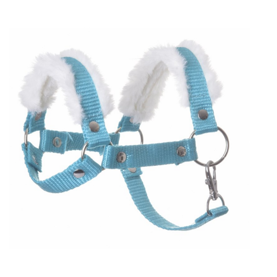 Ohlávka pro hobby horse LarDen s beránkem, tyrkys, vel. S