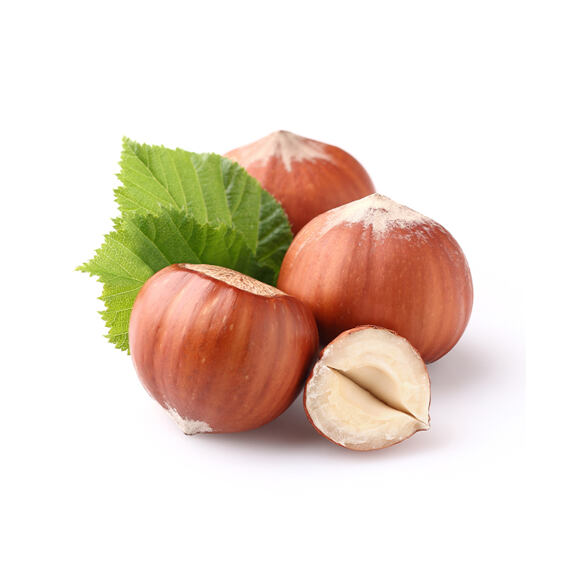 Ochucovadlo oříšek, pyré, 10 kg (nocciola purea)